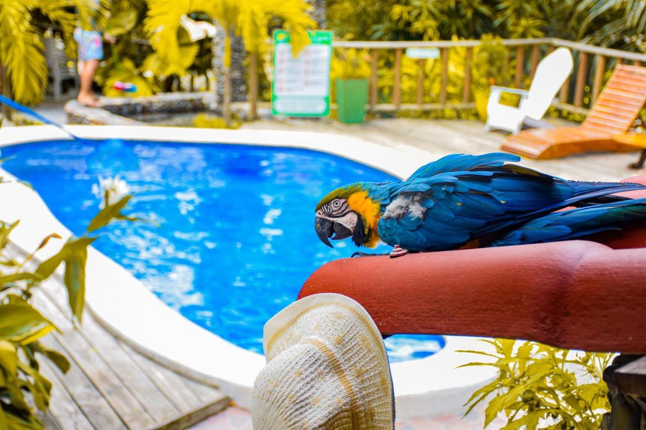 Casa Hostal Villa Del Rio エル・ザイノ エクステリア 写真